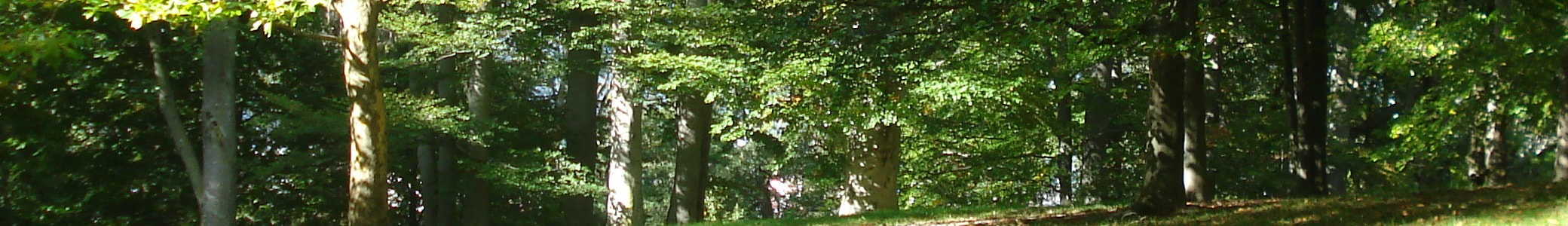 Club de Tir d'Albret